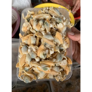 Thịt sò lụa rất tươi, rất ngọt - 0.5kg