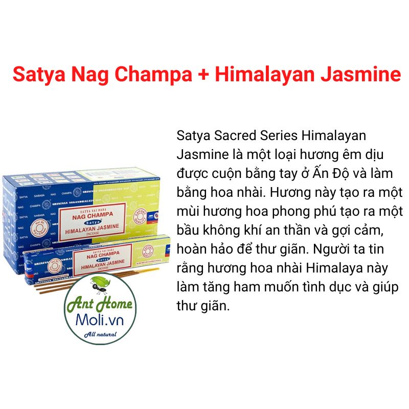 Hương SATYA Nag Champa Thanh tẩy - Chữa lành - Thu hút tài lộc Champa + Himalayan Jasmine