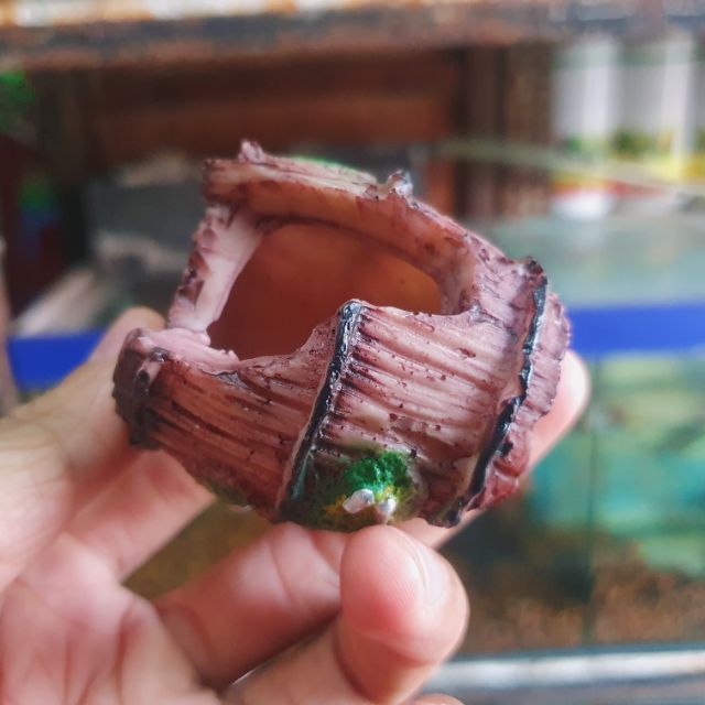 CẢNH LU MINI TRANG TRÍ HỒ CÁ NON BỘ 4x5cm