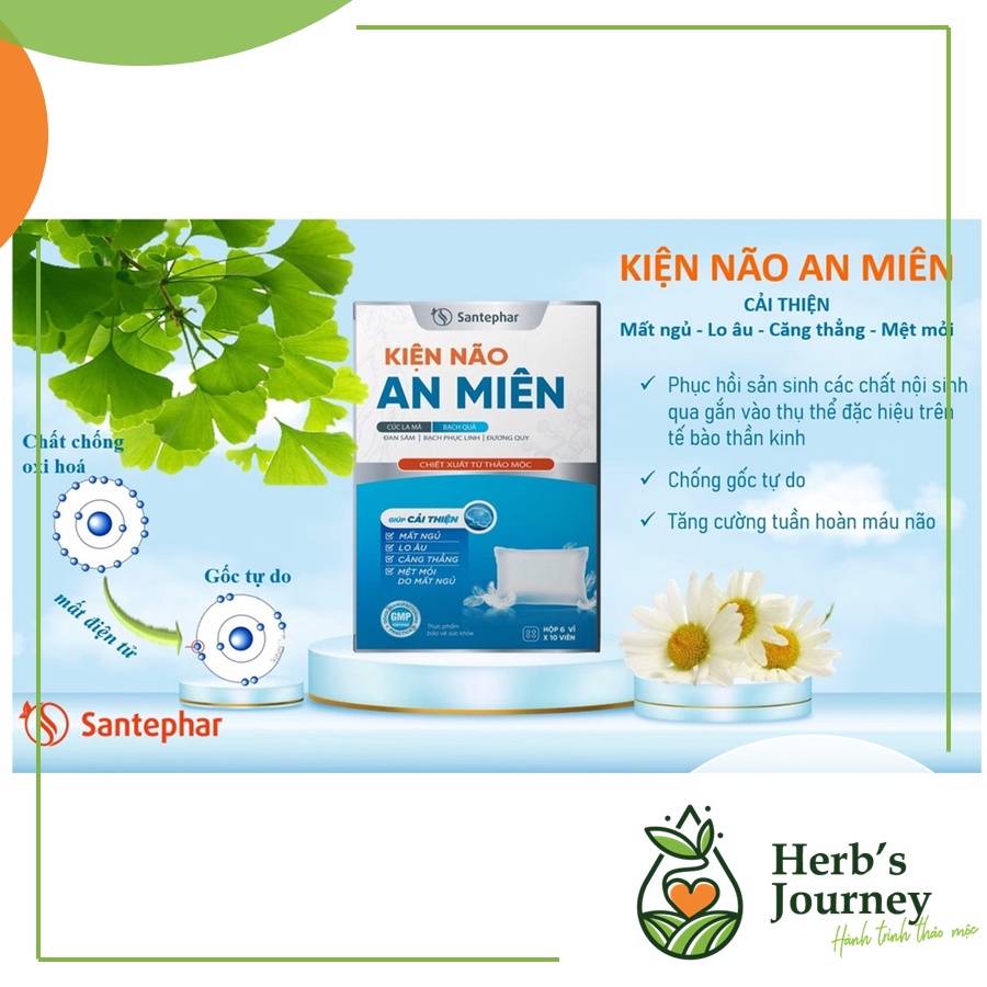 Kiện Não An Miên - Thành phần thảo dược - Dưỡng tâm, an thần,ngủ ngon, cải thiện tình trạng mất ngủ - CTCP DP Santephar