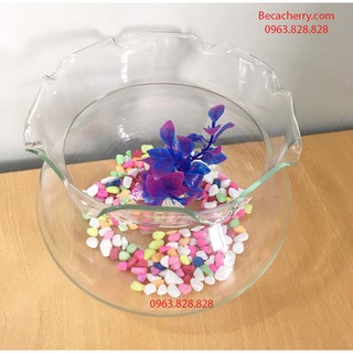 Bể Cá Mini Thủy Tinh Hồ Cá Miệng Bèo To ( Tặng kèm combo 2 phụ kiện trang trí )