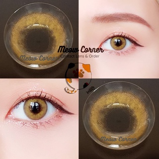 Lens Sorayama 4 màu đủ độ cận