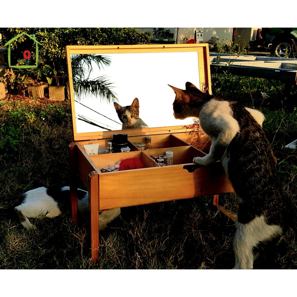 Bàn Trang Điểm Ngồi Bệt Siêu Xinh - Bàn trang điểm ngồi bệt mini .