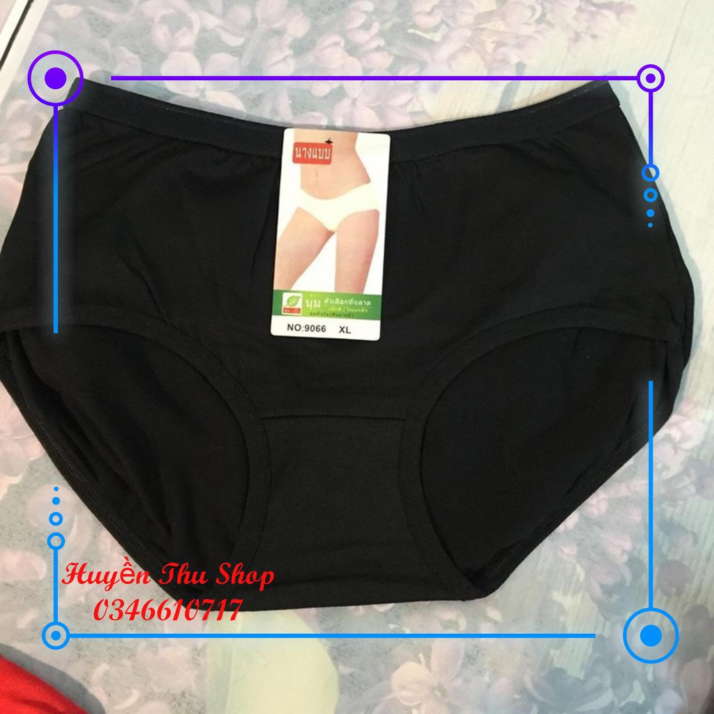 10 quần cotton sợi tre Thái big size 45-75kg | BigBuy360 - bigbuy360.vn