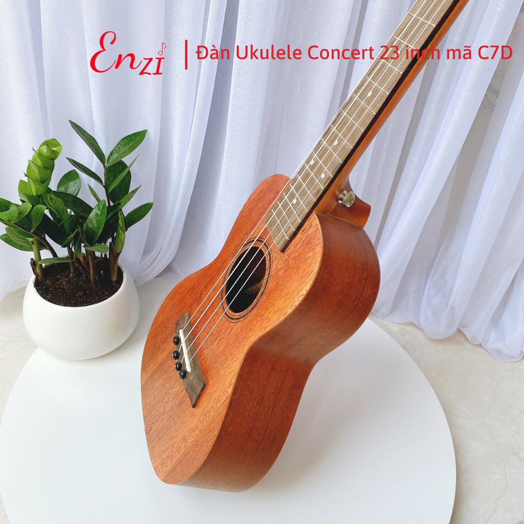 Đàn ukulele concert size 23 inch C6T chất liệu gỗ giá rẻ chất lượng ENZI