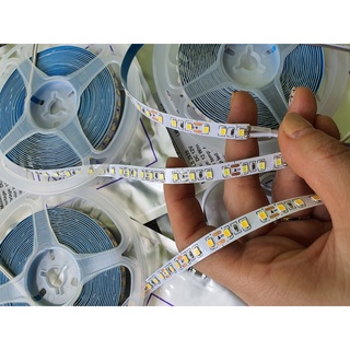 Cuộn led dây dán siêu dính 2835- Cuộn dài 10m