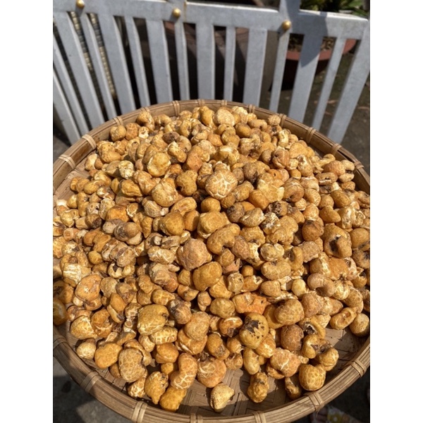 BẮP NỔ PHÔ MAI NGỌT- Bắp rang bơ, bỏng ngô, bắp mỹ