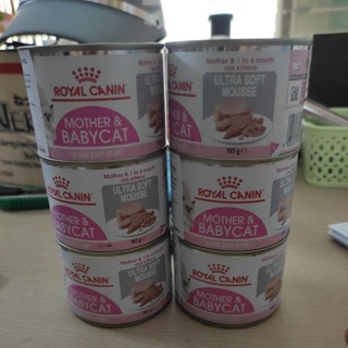 Ba tê pate mèo con mèo mẹ royal cannin baby mother 200g 195g
