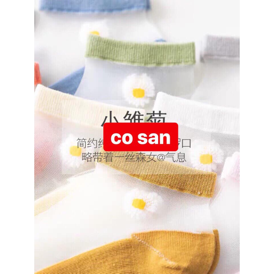 Túi 10 Tất vớ ngắn cổ Nữ cotton phối ren Tất Thấp Cổ Trẻ Trung Năng Động Chống Hôi Chân T03
