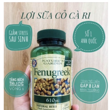 Lợi sữa Cỏ cà ri Natures Aid Fenugreek, 90 viên