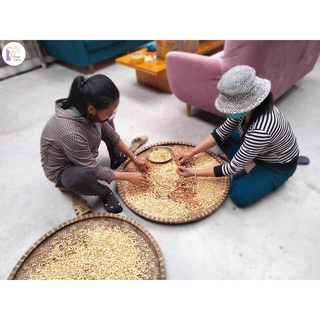 Protein Mầm Đậu Nành