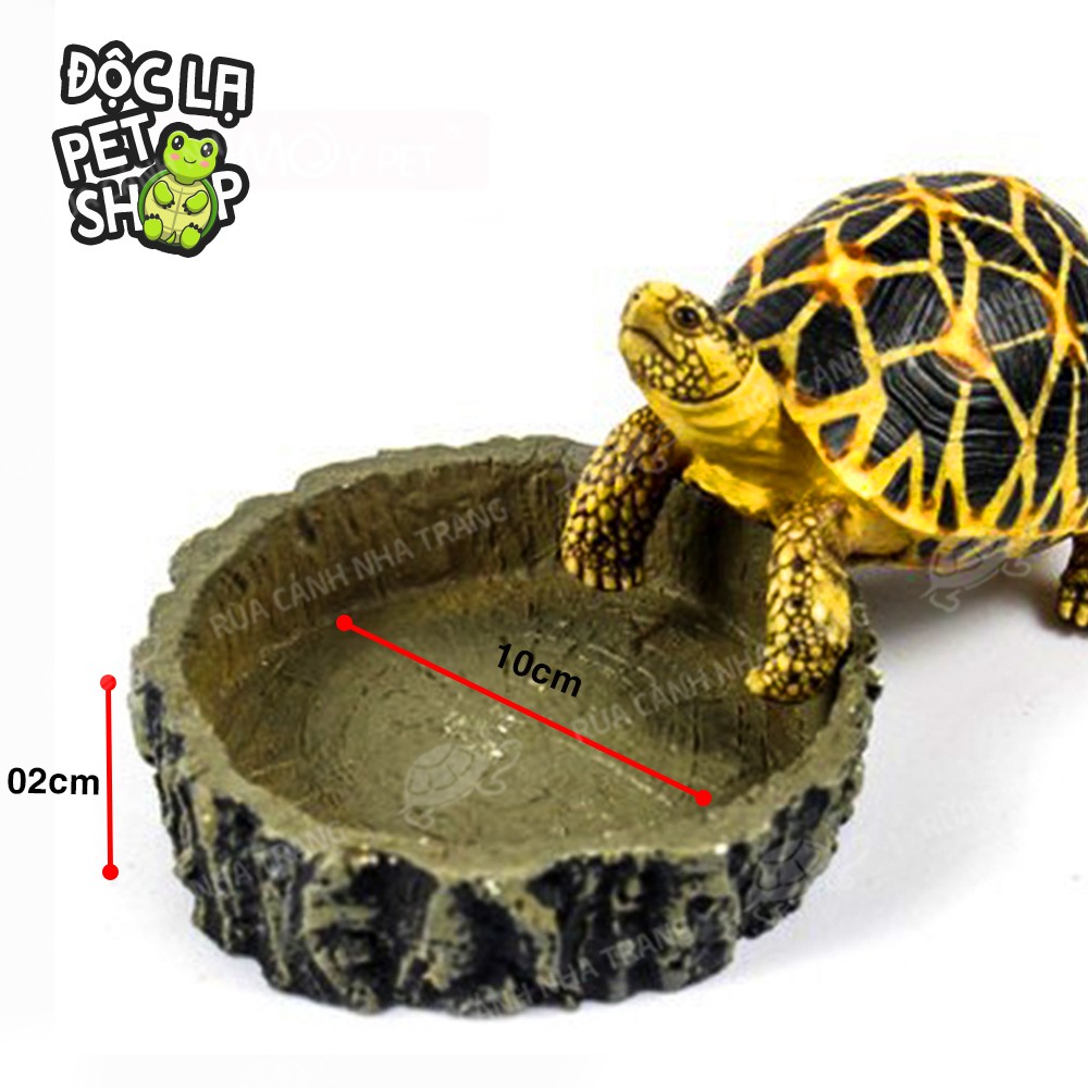 CHÉN NƯỚC CHO RÙA, MÁNG ĂN CHO RÙA THÚ CƯNG NHỎ, DECOR CHUỒNG NUÔI