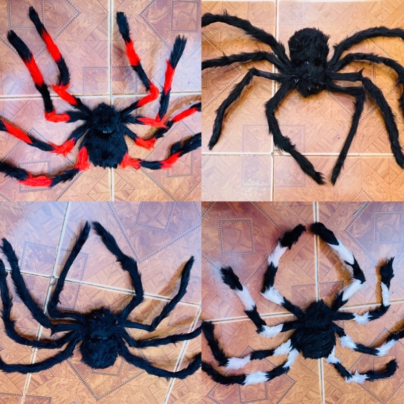 Nhện trang trí HALOWEEN