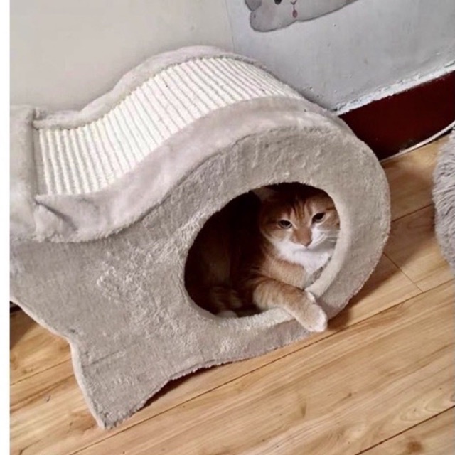 NHÀ MÈO HÌNH CÁ