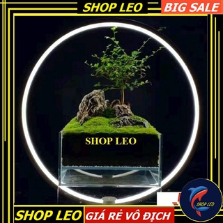 ĐÈN LED VÒNG TRÒN THỦY SINH - ĐÈN LED BỂ CÁ SIÊU ĐẸP