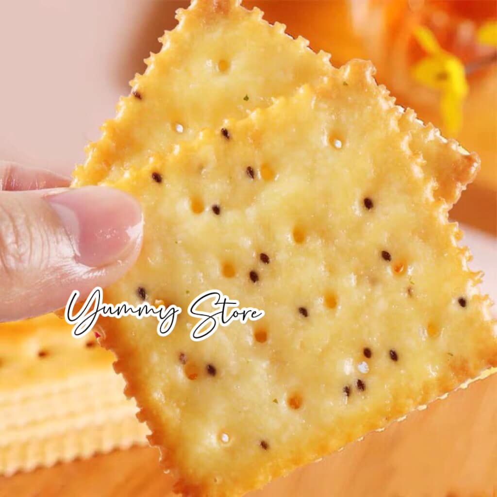 Bánh Quy Soda Muối Biển Ít Đường Wingoo