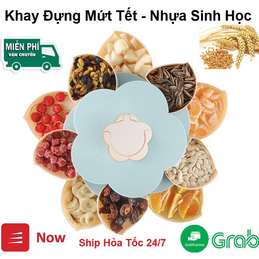 Khay Đựng Mứt Tết 2 Tầng Xòe Cánh Hoa Mai - Khay Đựng Bánh Kẹo Tết  - Khay Mứt Tết Xòe Cánh Hoa Cực Đẹp - 2021