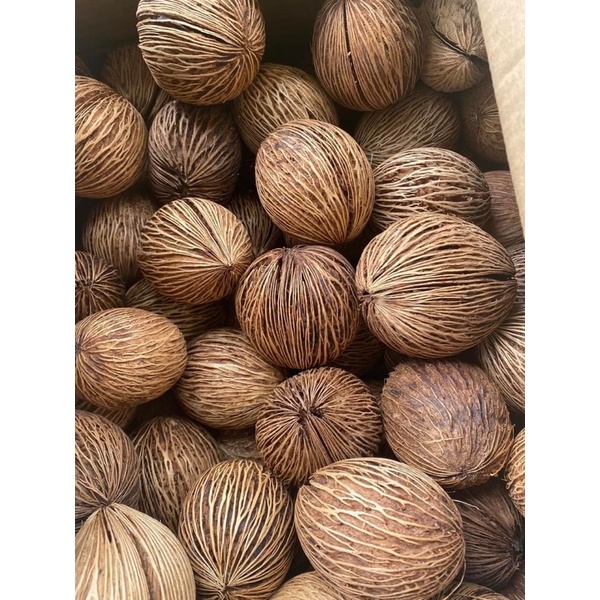 Trái dừa khô Thái Lan