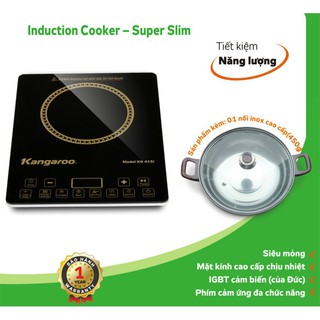 Bếp từ Kangaroo KG416i