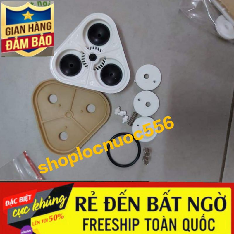 Bộ kíp bơm Headon TW máy lọc nước