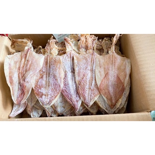 500gr MỰC KHÔ SIZE 30/35 CON KÍ