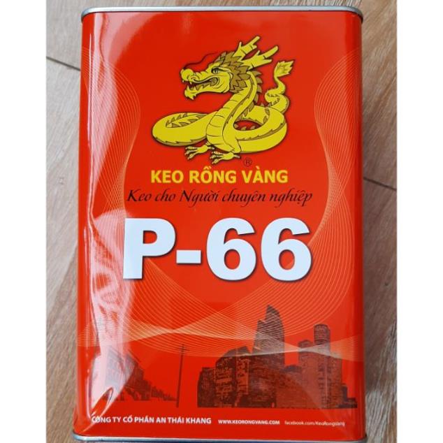 Keo P66 rồng vàng