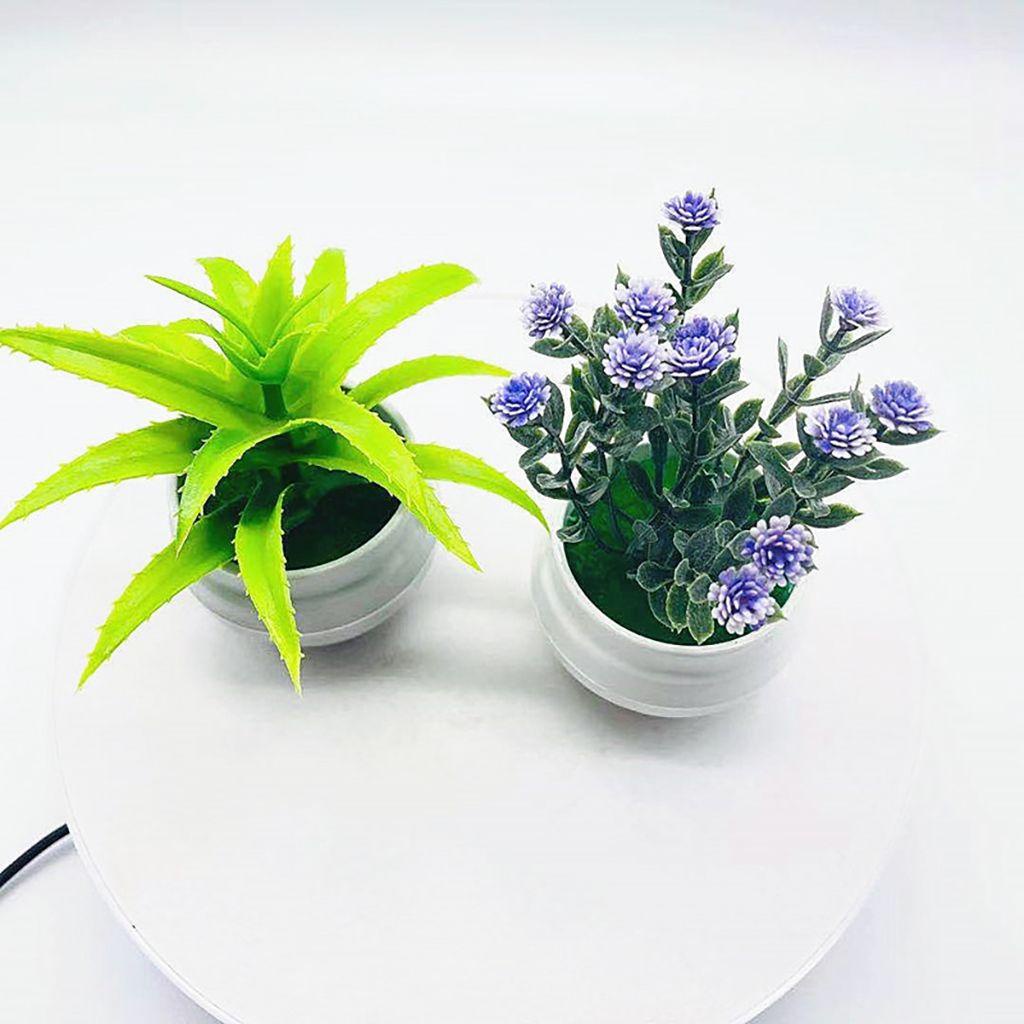 Lloyd Chậu Cây Bonsai Giả Bằng PP Sáng Tạo Giống Thật Để Bàn Trang Trí