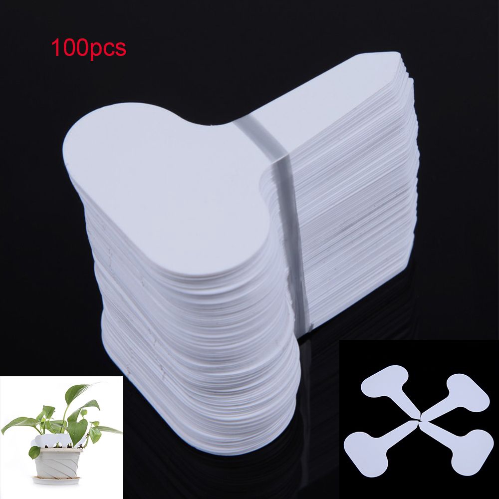 FASHYUNER Bộ 100 thẻ cắm ghi tên cho chậu trồng cây thiết kế độc đáo