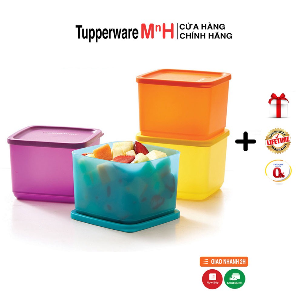 Hộp Bảo Quản Thực Phẩm Medium Summer Fresh Tupperware, Hộp Trữ Khô, Nhựa Nguyên Sinh An Toàn