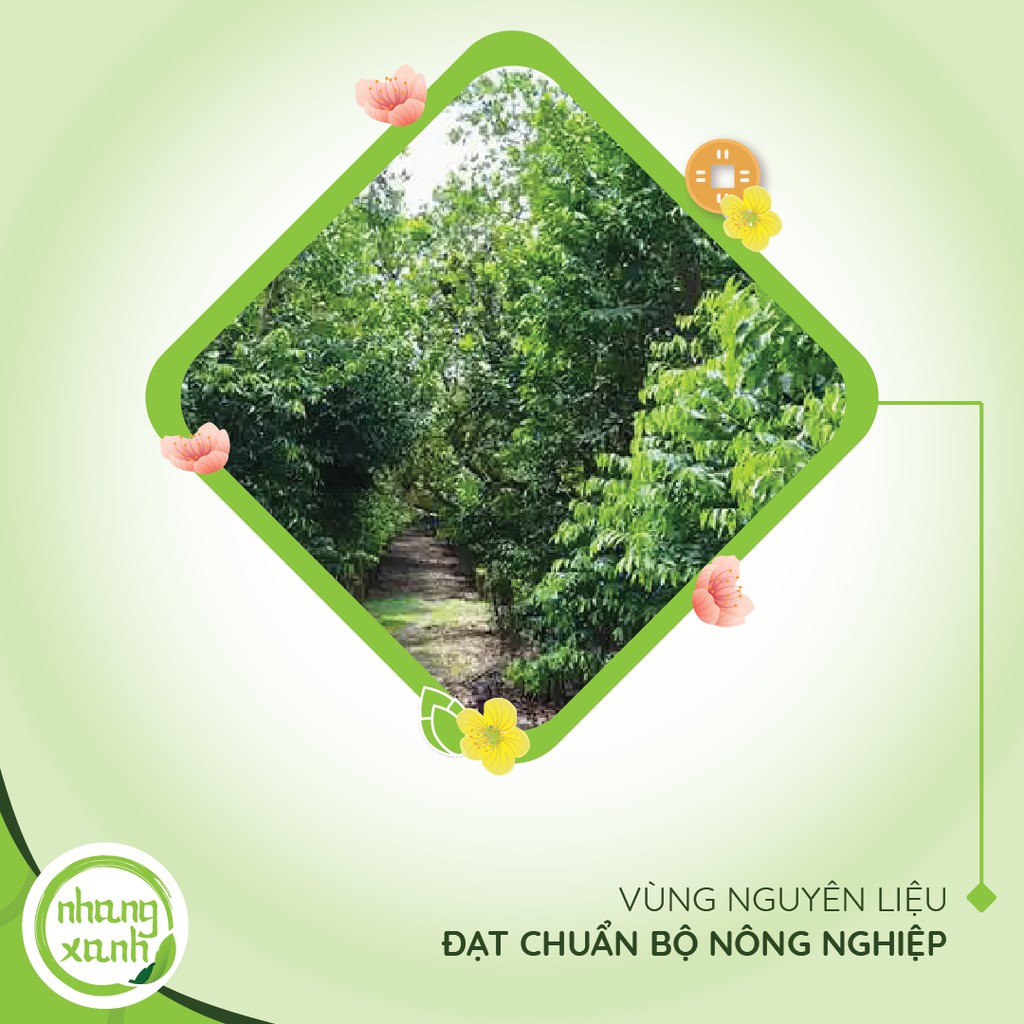 Nhang vòng trầm hương Nhang Xanh - Chuyên dùng để thưởng hương