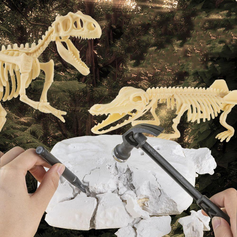 Bộ Mô Hình Xương Khủng Long Malcom Bất Ngờ Giáo Dục Khoa Học Cho Bé Trai / Bé Gái