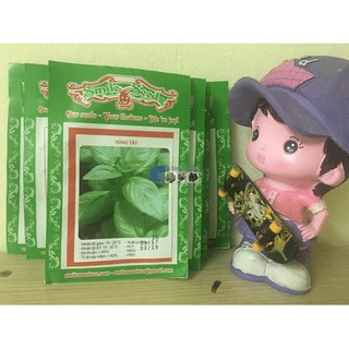 Hạt Giống Rau Húng Tây (Basil) Dễ Trồng (1 Gam)