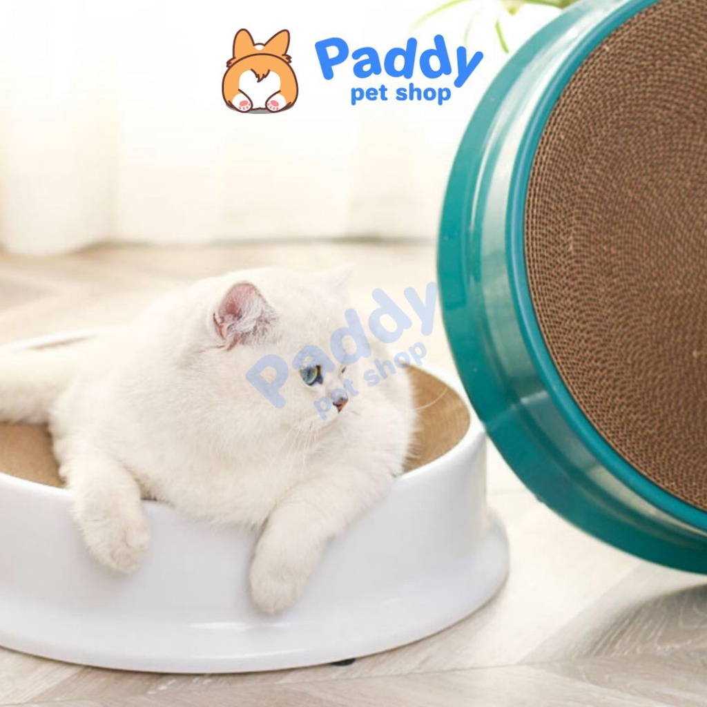 Bàn Cào Móng Giấy Ổ Nằm Tròn Cho Mèo