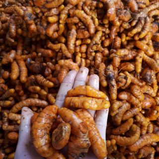 500G Tinh bột nghệ Nghệ An Cô Thắm ( tinh bột nghệ nguyên chất )