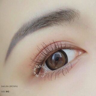 Lens mắt mèo SAKURA nâu/xám