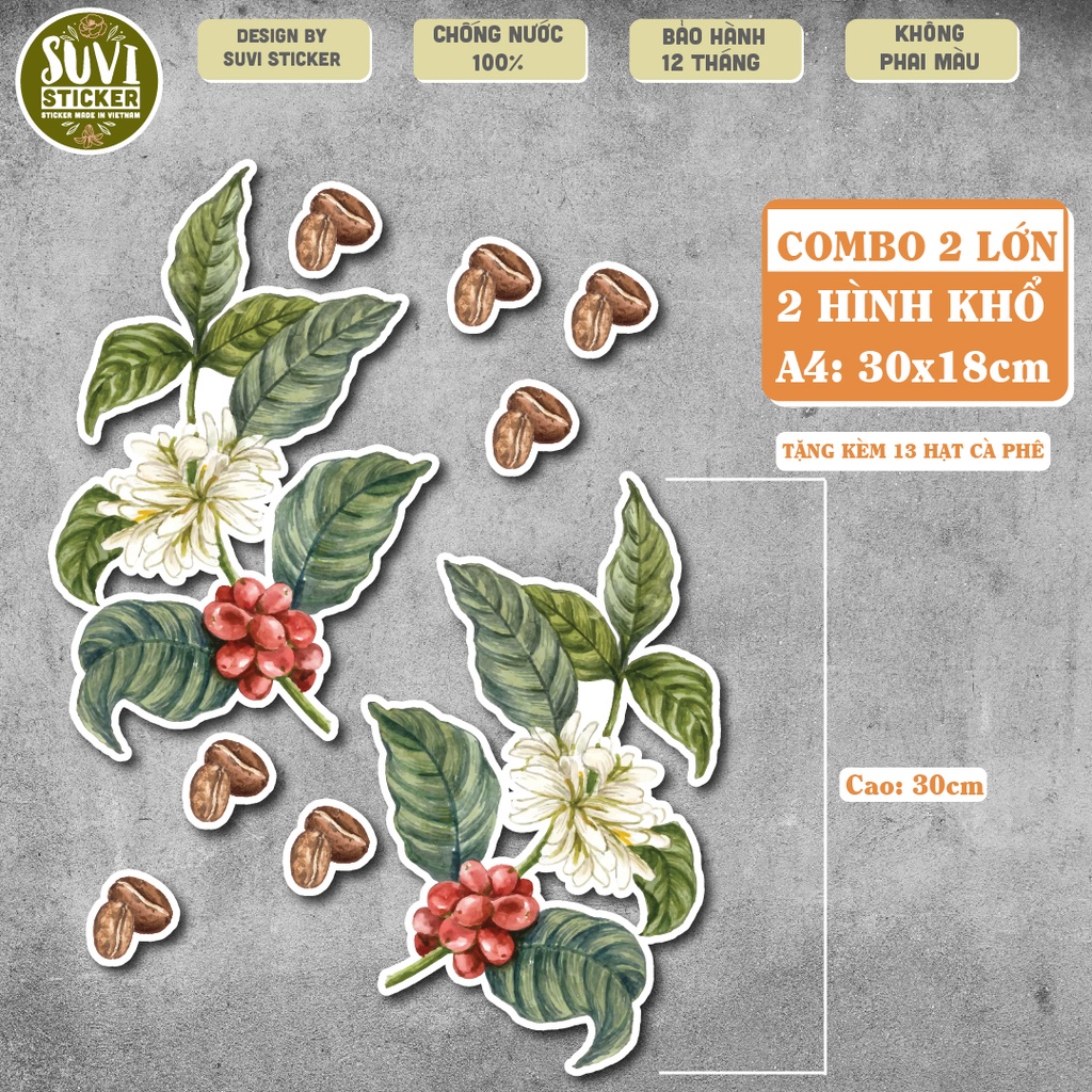 Decal Coffee khổ lớn trang trí tường, dán kính, trang trí quán cà phê khổ A4, A5 chống nước. MSP: KL01