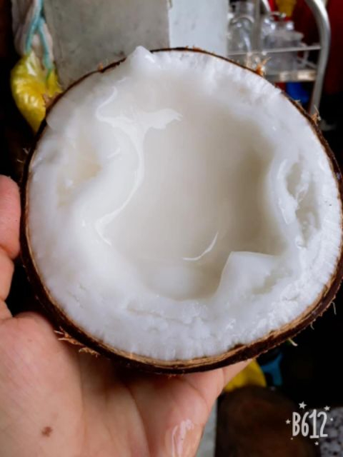 DỪA SÁP Cầu Kè Loại 2 nước LỎNG