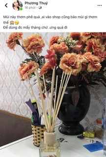 Tinh dầu thơm để phòng hàng của pháp