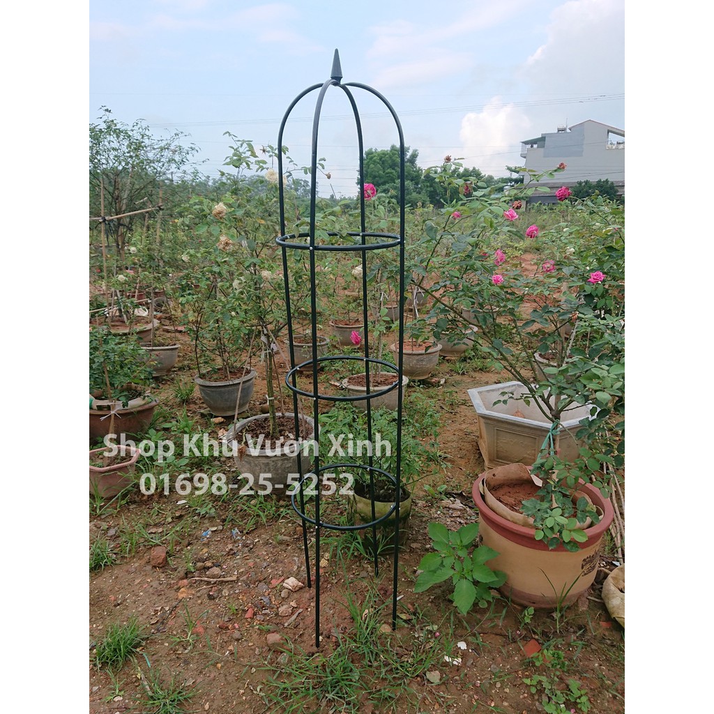 Khung tháp leo hoa hồng - khung trụ cho hoa leo