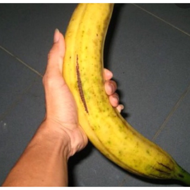 Chuối táo quạ 5 trái