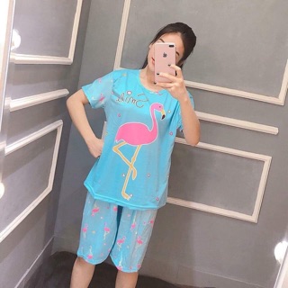 combo 3 bộ thun bigsize cho khách