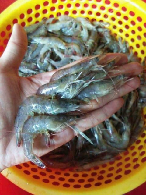 CHẢ ram tôm đất gói 500gr
