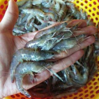 CHẢ ram tôm đất gói 500gr