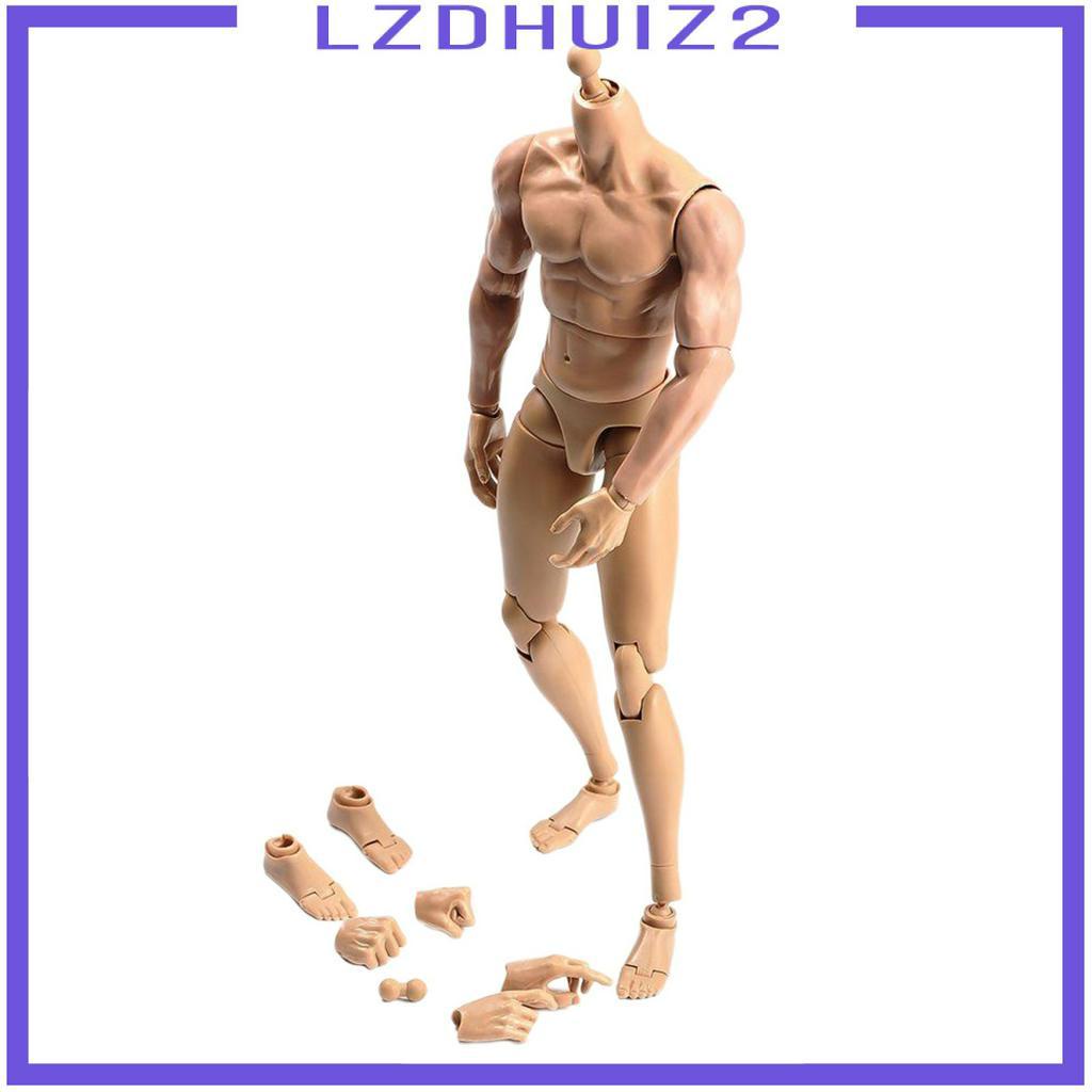Mô Hình Cơ Thể Nam Tỉ Lệ 1 / 6