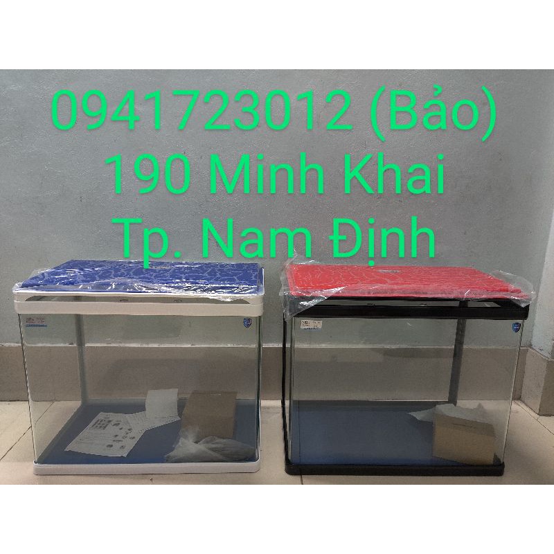Bể cá kính đúc nguyên bộ C.A.Y Q3 580 59cm