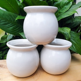 🔥 sale + free ship 🔥 chậu sứ hình giỏ cua, bình hoa
