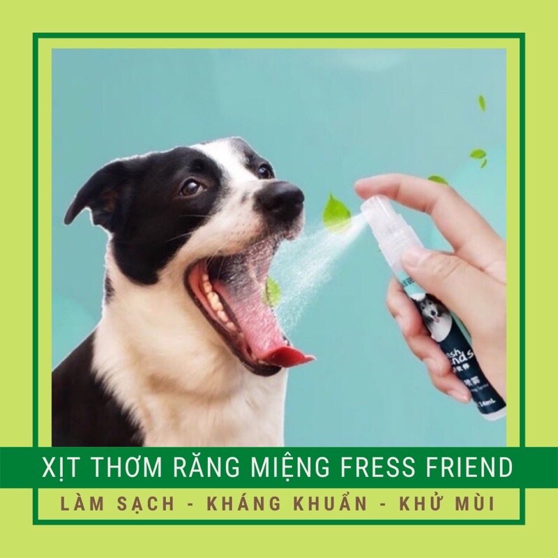 Xịt Thơm Răng Miệng Cho Chó Mèo Fresh Friend Trị Hôi Miệng Cho Thú Cưng ❤️🐈🐶