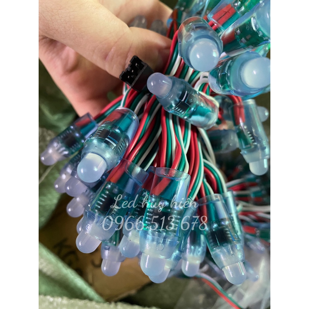 Led Full IC 1903, 2811, 1916, 8206 ngoài trời, led đúc F8 full color (Dây 50 LED)