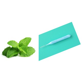TĂM KẼ RĂNG GINA GÓI 10 CÂY PHÙ HỢP MỌI LỨA TUỔI SỬ DỤNG