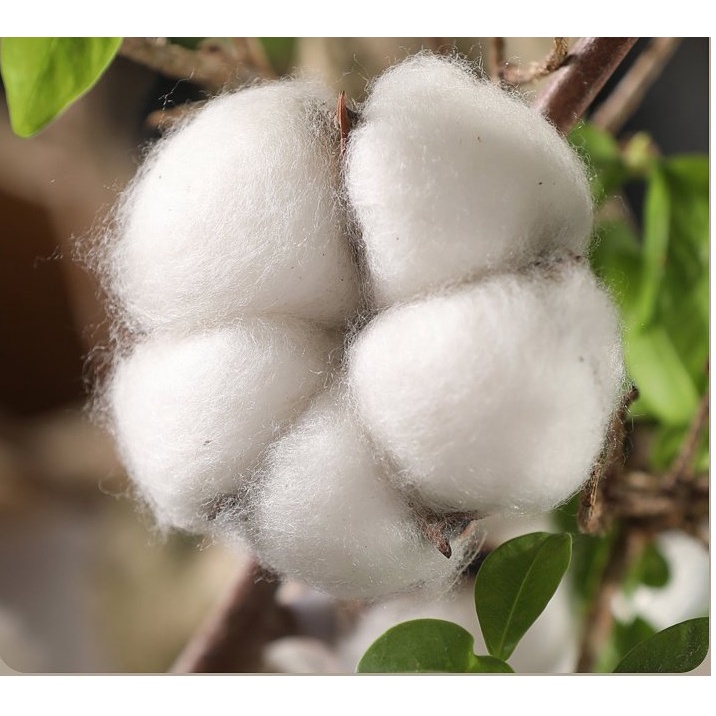 Khẩu Trang Vải Nam Nữ Nhiều Màu Cotton Nhật Cao Cấp Chống Nắng Ngăn Tia UV Thoáng Mát Mềm Mại 1 Cái